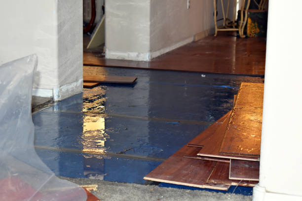 Professional Water Damage Restoration technician working in White Castle, LA